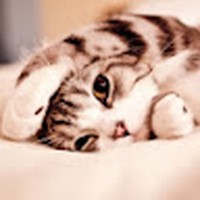 Profile Picture of Fiona Schultz (@fiona-schultz-4) on Quora