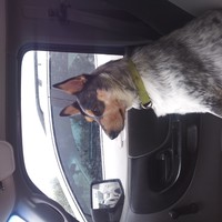 Profile Picture of Mark Schoonover (@mark-schoonover-6) on Quora