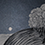 Profile Picture of Fromthewoods (@fromthewoods) on Flickr