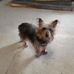 Profile Picture of Doug Smoot (@doug.smoot.351) on Instagram