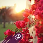 Profile Picture of Ralph Kelley (@Ralph-Kelley) on Facebook