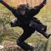 Profile Picture of Harriet (@Harriet_James_P) on Twitter