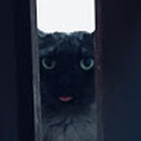 Profile Picture of Jason Afonso (@jason-afonso-4) on Quora