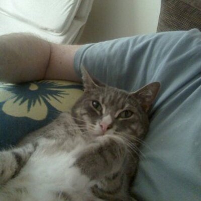 Profile Picture of Mark Williams (@MarkW_CSI) on Twitter