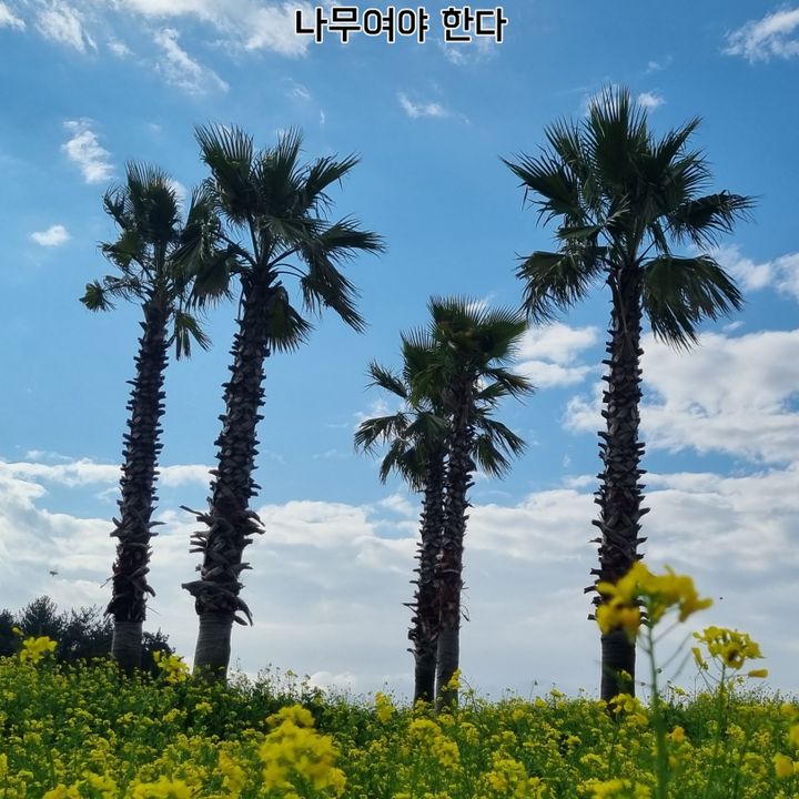 Profile Picture of Crystal Hite (@user9146794056291) on Tiktok