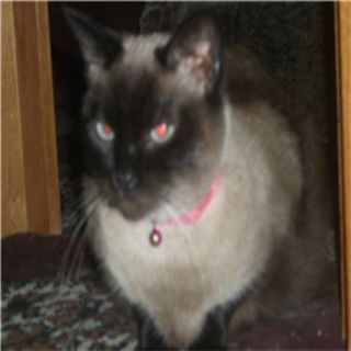 Master Molly - Facebook Profile Picture of Master Molly (@master.molly) on Facebook