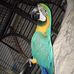 Profile Picture of Tyler Steer (@tyler.steer.9047) on Facebook