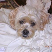 Profile Picture of Paula Thomson (@paula-thomson-6) on Quora