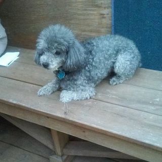 Profile Picture of Al Leary (@al.leary.75) on Facebook