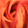 Profile Picture of kathy hocking (@kathy hocking) on Flickr