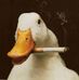 Profile Picture of Daniel Borden (@daniel.borden.100) on Facebook