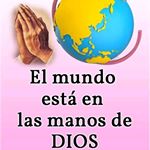 Profile Picture of Edwin Tobar Marin (@tobarmarin) on Instagram
