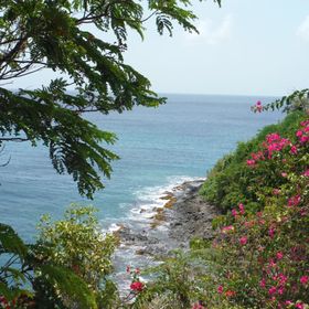 Profile Picture of Debby Olson (@dolson1223) on Pinterest