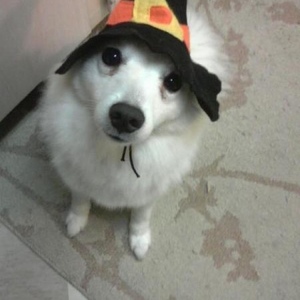 Profile Picture of John's Wife (@dusttbunniezzz) on Myspace