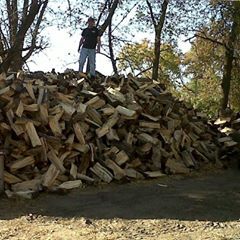 Jeff Thomsen - Tiktok Profile Picture of Jeff Thomsen (@@jeffthomsen29) on Tiktok