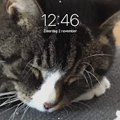 Profile Picture of Edwin Waldner (@kyuityudyjtyd) on Youtube