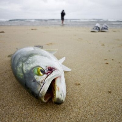 Profile Picture of John Ferran (@ferran123) on Twitter