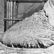 Profile Picture of Debra Long (@debralong9460) on Youtube