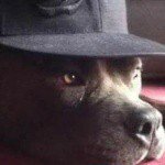 Profile Picture of christian_lopez (@christian_ovando) on Instagram