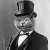 Profile Picture of Peter (@peterpevensly) on Tiktok