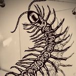 Profile Picture of 都翅(MIYAKOSHI) (@miyakoshi_kirie) on Instagram