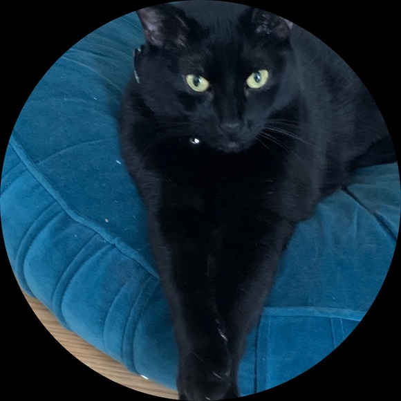 Profile Picture of Aisling Smith (@aislingmcsmith) on Poshmark