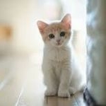 Profile Picture of Rafael Benjamín Jacobo Vázquez (@benjamin_jacobo_v) on Instagram