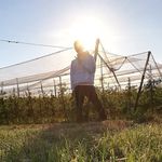 Michael Jauch - Instagram Profile Picture of Michael Jauch (@michi.j.15_) on Instagram