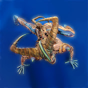 Profile Picture of Daniel Baute Visión (@danielbautevision3912) on Youtube