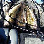 Profile Picture of Matthew Bedenbaugh (@matt_bedenbaugh) on Instagram