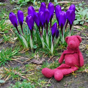 Profile Picture of Ilse Martin (@ilsemartin5834) on Youtube