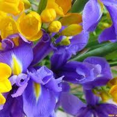 Profile Picture of Adamo Paola (@AdamoPaola) on Twitter