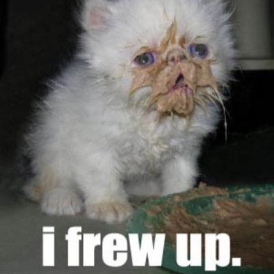 Profile Picture of Andrew Hutsko (@AndrewHutsko) on Twitter