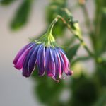 Profile Picture of Leah :) (@leahkelsch_photography) on Instagram