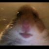Profile Picture of Christopher leath581 (@@toxicgamer19852) on Tiktok