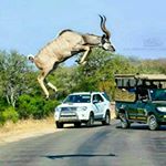 Profile Picture of paul jesse nyagwaswa (@pauljessenyagwaswa) on Instagram