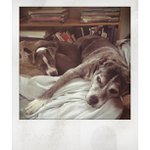 Profile Picture of Joann Larson (@gambitrawforlife) on Instagram