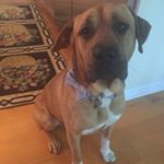 Profile Picture of Claire Sedgwick (@csedgwick220) on Instagram