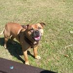 Profile Picture of Lee Waring (@leewaring1989) on Instagram