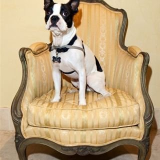 Profile Picture of Jeff & Elisa Raphael (@3720SDixieHwy) on Twitter