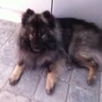 Profile Picture of Freja D Kristensen (@doris.kristensen.798) on Facebook