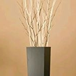 Profile Picture of mrs. Maxwell (@mrs.deeana) on Instagram