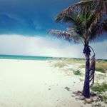 Profile Picture of Mandi HANSEN (@4mhansen) on Instagram