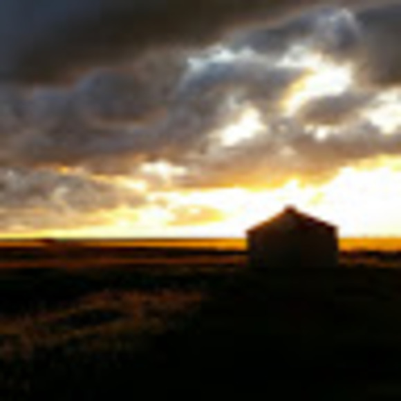 Profile Picture of Jared Barney (@jaredbarney) on Poshmark