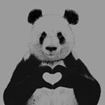 Profile Picture of Эмик (@evil.panda_7) on Instagram