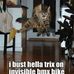 Profile Picture of Kyle Cat Mullenix (@wel.lthen.this.is.unexpected) on Facebook
