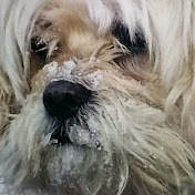 Profile Picture of Joanne Clark (@joanneclark8256) on Youtube