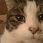 Profile Picture of andrewseventeen (@andrewseventeen) on Instagram