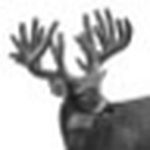 Profile Picture of Faron Yoder (@wtheartbeat) on Flickr