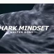 Profile Picture of Mark Pitzer (@MarkPitzer-jj6jo) on Youtube